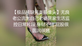 老板的两小秘书