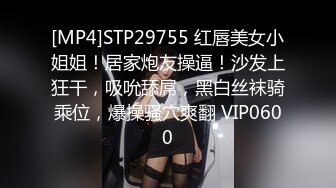 嫉妒沉迷于女仆的男友…过激女仆装扮全力乳交的女友 安达夕莉