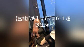 【蜜桃传媒】pms-007-1 超级狂婿