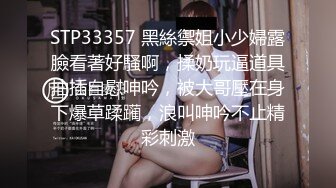 自购秀人网杨晨晨原版无水印视频【20V】 (1)