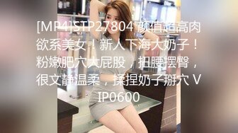 [MP4]STP27804 颜值超高肉欲系美女！新人下海大奶子！粉嫩肥穴大屁股，扭腰摆臀，很文静温柔，揉捏奶子掰穴 VIP0600