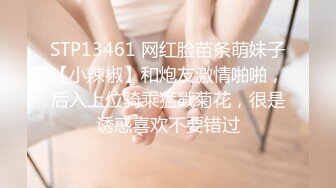 【伊玫瑰】高颜值河南小少妇，良家感十足，跟粉丝啪啪无套，自慰用黄瓜 (3)