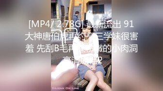 私房八月新流出魔手外购极品厕拍女神极品高跟女神漂亮空姐被侧角度偷拍坐便蹲着尿尿