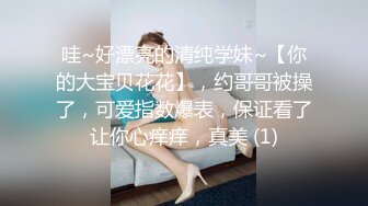 麻豆传媒 鲍鱼的胜利 初章 性虐与死亡的审批视线 夏晴子