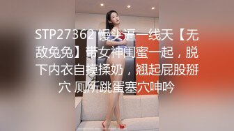 后入老婆骚逼