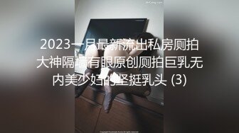 2023一月最新流出私房厕拍大神隔墙有眼原创厕拍巨乳无内美少妇的坚挺乳头 (3)