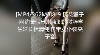 深圳性感会计师