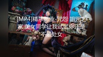 抖S麥娜會長大人被抖M筆記支配了 3