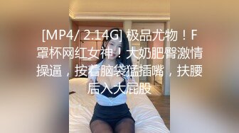 文静短裙甜美小姐姐 高清拍摄舌吻调情 掏出大屌吸吮舔弄