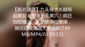 [MP4/51GB] MID-SONE系列十部中字无码BVPP破解高清合集《中文字幕》