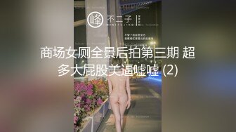 麻豆傳媒 MDSJ0008 性犯罪者牢房 強製淩辱歐洲杯女球迷 艾熙