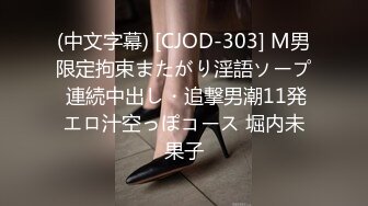 贱货前女友