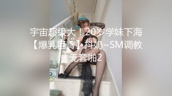 (中文字幕) [DVDMS-752] 一般男女ドキュメントAV 観光で来た台湾人のデカ尻女子大生に僕の部屋を民泊利用で貸し出したその日から帰国する直前まで生ハメで何度も精子を搾り取られた（多謝イ尓）