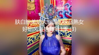 肤白貌美奶大臀圆的极品熟女好姐风骚艳舞第3季 (3)