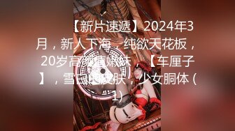 听声可射~【声优小魅魔】大奶美女 自慰AMSR，假屌抽插淫语骚话娇喘，爸爸操的我好爽，开档黑丝手指插入呻吟【80v】 (10)