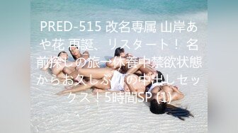 PRED-515 改名専属 山岸あや花 再誕、リスタート！ 名前探しの旅→休養中禁欲状態からお久しぶりの中出しセックス！5時間SP (1)