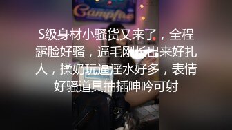 小精灵宝可梦- 新人长发美少妇露脸黑丝情趣衣，掰穴自慰，特写鲍鱼淫水真不少