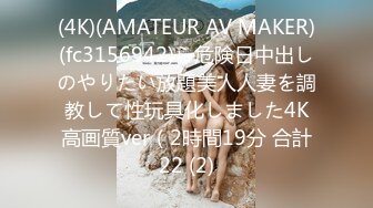 (4K)(AMATEUR AV MAKER)(fc3156942)ら危険日中出しのやりたい放題美人人妻を調教して性玩具化しました4K高画質ver（2時間19分 合計22 (2)