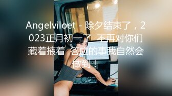 Angelviloet - 除夕结束了，2023正月初一了  不再对你们藏着掖着  答应的事我自然会做到！