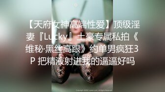 【天府女神高端性爱】顶级淫妻『Lucky』土豪专属私拍《维秘·黑丝高跟》约单男疯狂3P 把精液射进我的逼逼好吗