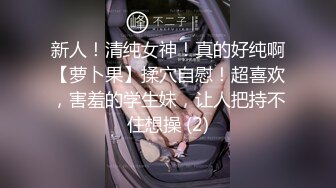 【小性感R】小迷妹户外玩刺激 穿着小西服开档肉丝袜外面豹纹裙子 到商场的厕所里玩道具